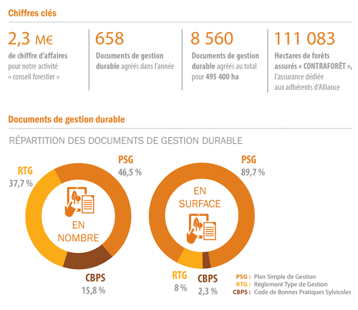 découvrez les principaux chiffres et données essentielles sur la forêt suisse en 2023 grâce à notre rapport sur les chiffres clés de la forêt.