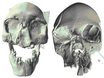 découvrez l'univers fascinant des crânes humains retrouvés dans les alpes. explorez leur histoire, leur signification archéologique et les mystères qu'ils recèlent, tout en plongeant au cœur des secrets des montagnes.